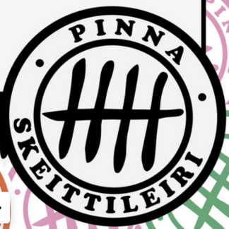 Skeittileiri 23.-26.6.2025 (20501)